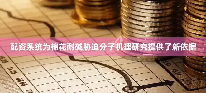 配资系统为棉花耐碱胁迫分子机理研究提供了新依据