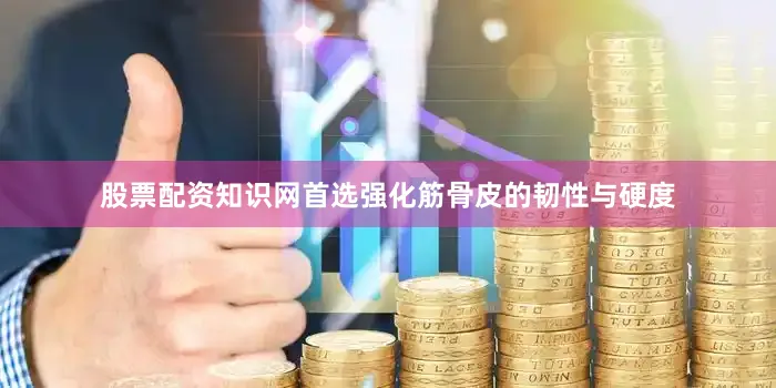 股票配资知识网首选强化筋骨皮的韧性与硬度