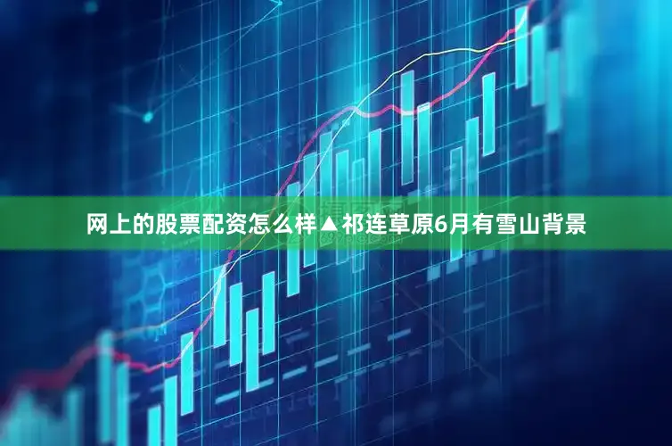 网上的股票配资怎么样▲祁连草原6月有雪山背景