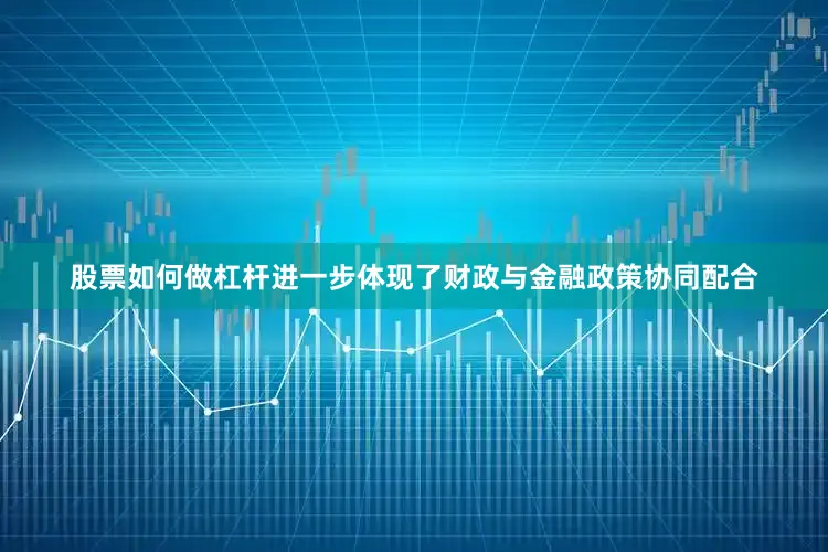股票如何做杠杆进一步体现了财政与金融政策协同配合